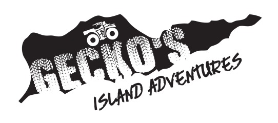 Gecko’s Island Adventures