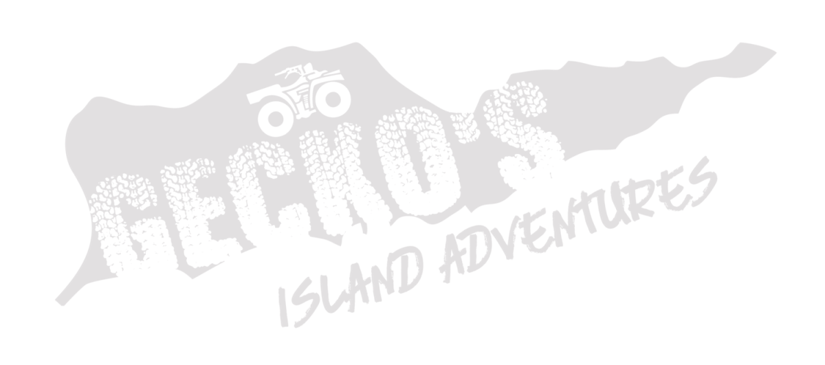 Gecko’s Island Adventures