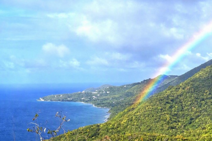 Rainbow over lush green hills and ocean under a cloudy sky.