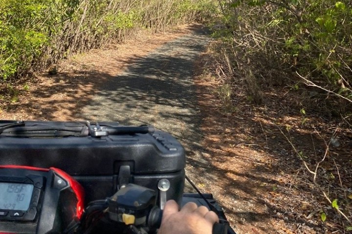 Person riding ATV on narrow dirt path through dense bushes.