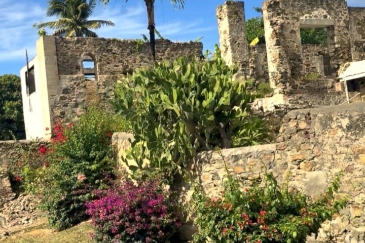 Ruins of a stone building surrounded by lush greenery and palm trees.