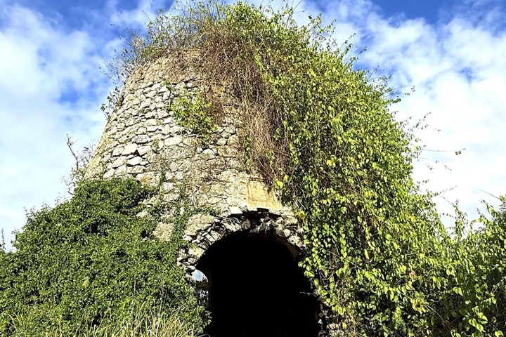 Old stone structure overgrown with vines under a blue sky.